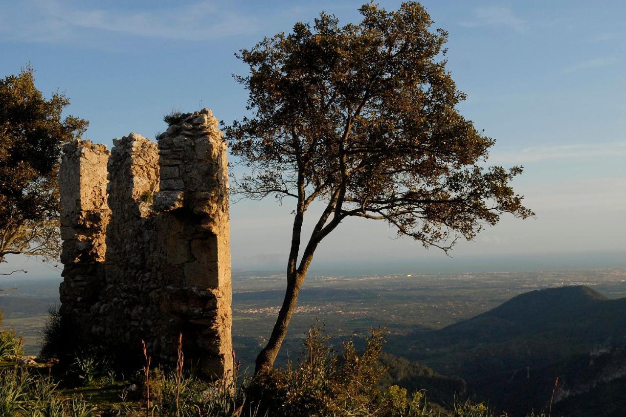 Alaró Natura Rural Suites Kültér fotó